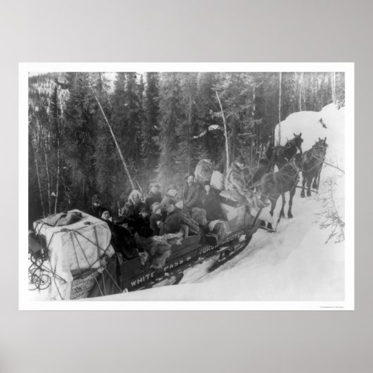 Witte pas Alaska Sled Train 1903 Poster (Voorkant)
