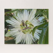 Witte Passiebloem met Bij, Oakland Legpuzzel (Horizontaal)