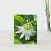 Witte Passiflora Kaart (Voorkant)