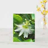 Witte Passiflora Kaart (Gele Bloem)