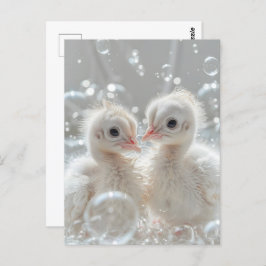 Witte pauw baby's, Postcrossing Briefkaart