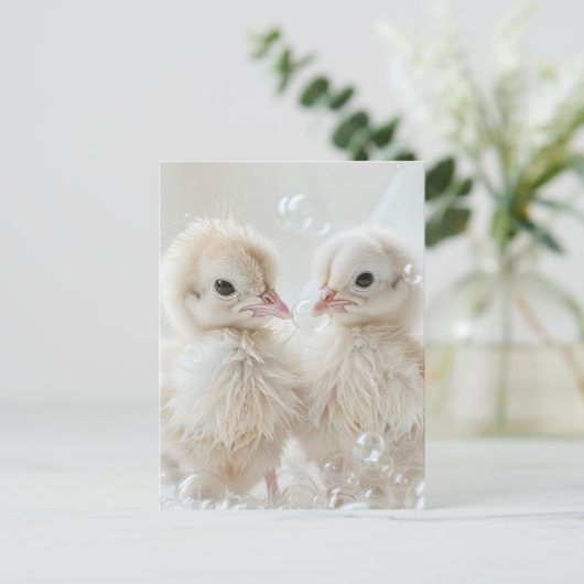 Witte pauw baby's, Postcrossing Briefkaart (Staand voorkant)