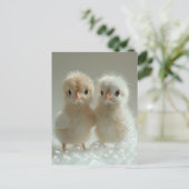 Witte pauw baby's, Postcrossing Briefkaart (Staand voorkant)