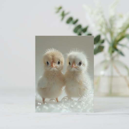 Witte pauw baby's, Postcrossing Briefkaart (Staand voorkant)