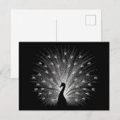 Witte pauw briefkaart (Voorkant / Achterkant)