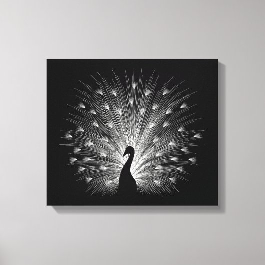 Witte pauw canvas afdruk (Voorkant)