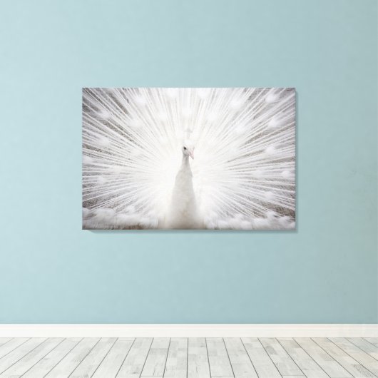 Witte pauw canvas afdruk (Insitu (Houten vloer))