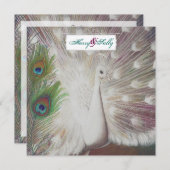 Witte Pauw en Veer bruiloft uitnodiging (Voorkant / Achterkant)