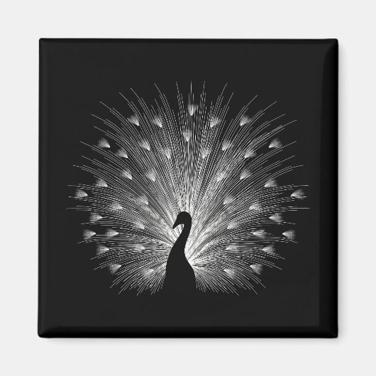 Witte pauw magneet (Voorkant)