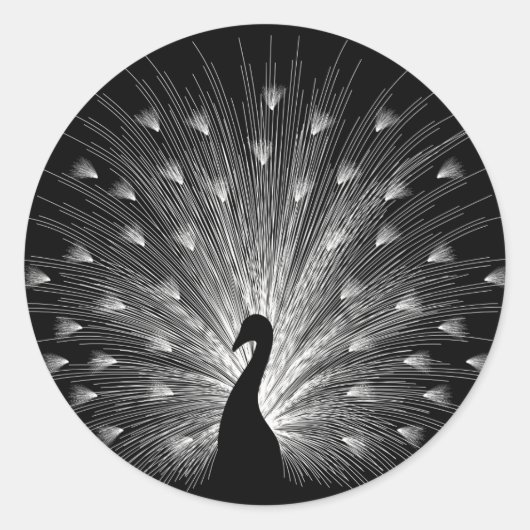 Witte pauw ronde sticker (Voorkant)