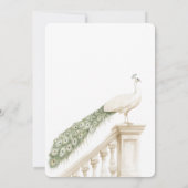 Witte Pauw Verjaardag Kaart (Achterkant)