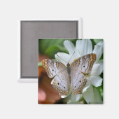 Witte Pauwvlinder Magneet (Voorkant / Achterkant)