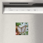 Witte Pauwvlinder Magneet (Insitu (Vaatwasser))