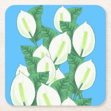 Witte Peace Lily Illustratie Bord Blauw