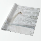 Witte Peacock mooie veren Cadeaupapier (Uitgerold)