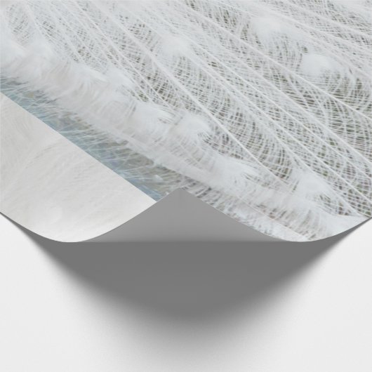 Witte Peacock mooie veren Cadeaupapier (Hoek)