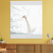 Witte Peacock mooie veren Canvas Afdruk (Insitu (Woonkamer))