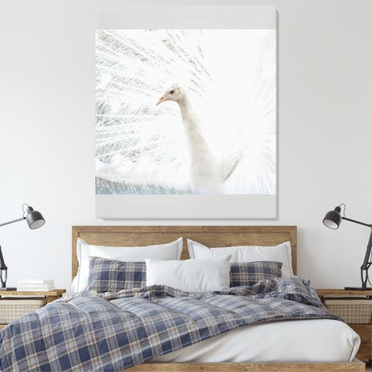 Witte Peacock mooie veren Canvas Afdruk (Insitu (Slaapkamer))