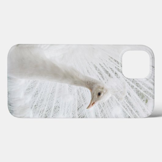 Witte Peacock mooie veren Case-Mate iPhone Case (Achterkant (horizontaal))
