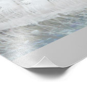 Witte Peacock mooie veren Foto Afdruk (Hoek)