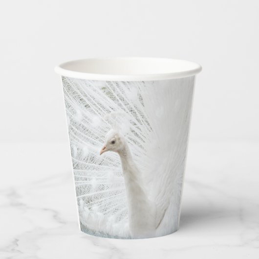 Witte Peacock mooie veren Papieren Bekers (Voorkant)