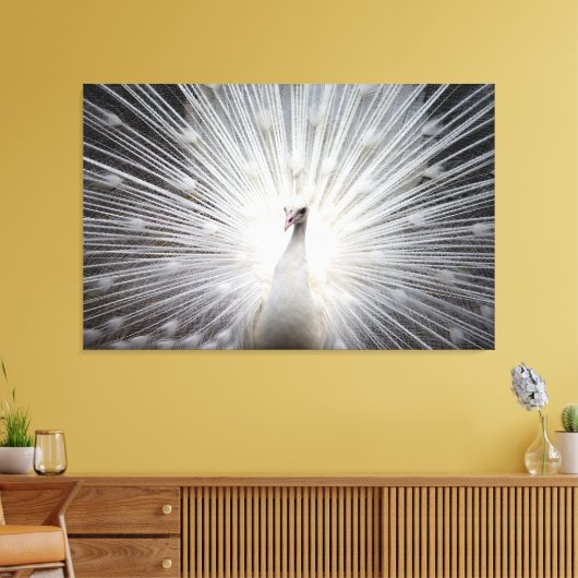 Witte Peacock op Premium Verpakt Canvas (Glans) (Insitu (Woonkamer))