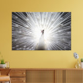 Witte Peacock op Premium Verpakt Canvas (Glans) Afdruk (Insitu (Woonkamer))