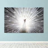Witte Peacock op Premium Verpakt Canvas (Glans) Afdruk (Insitu (Houten vloer))