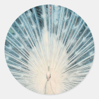  witte peacock ronde sticker