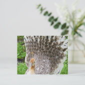 Witte Peahen Briefkaart (Staand voorkant)