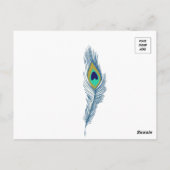 Witte Peahen Briefkaart (Achterkant)