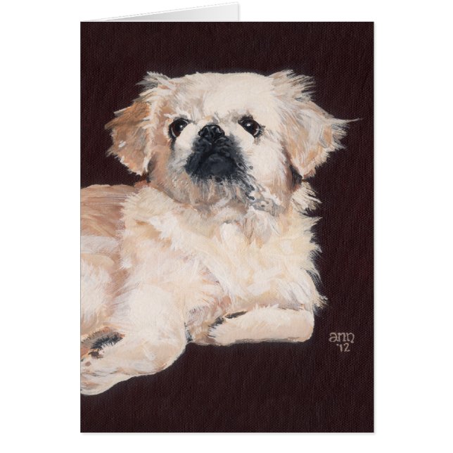 Witte Pekingees Hond (Voorkant)