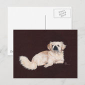 Witte Pekingees Hond Briefkaart (Voorkant / Achterkant)