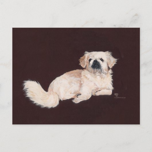 Witte Pekingees Hond Briefkaart (Voorkant)