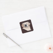 Witte Pekingees Hond Vierkante Sticker (Envelop)