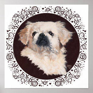 Witte Pekingees kopstudie Poster