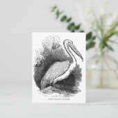 -witte pelicaan briefkaart (Staand voorkant)