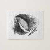 -witte pelicaan legpuzzel (Horizontaal)