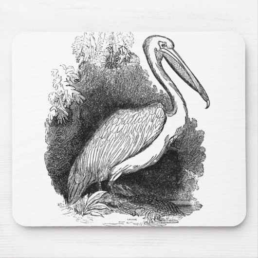 witte Pelican Art Print Pen en inkt Muismat (Voorkant)