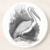 witte Pelican Art Print Pen en inkt Zandsteen Onderzetter (Voorkant)