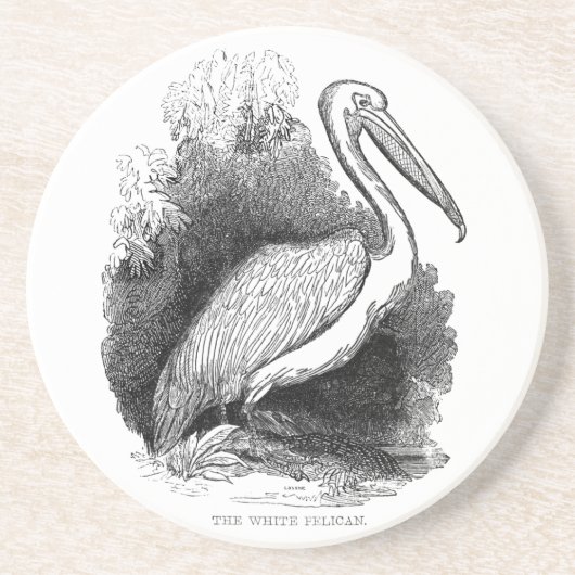 witte Pelican Art Print Pen en inkt Zandsteen Onderzetter (Voorkant)