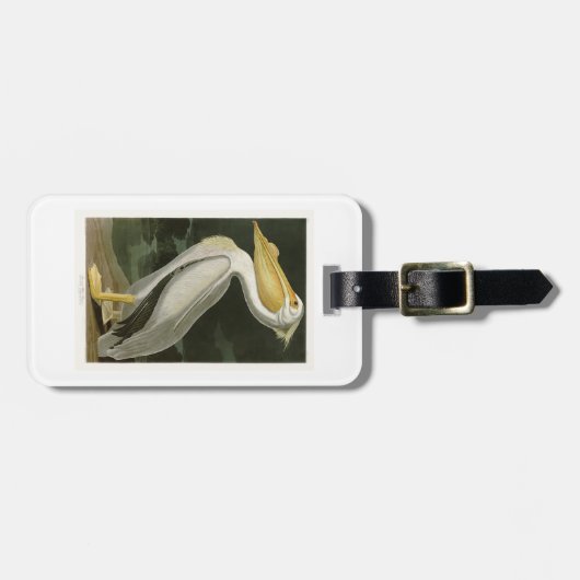 Witte Pelican John James Audubon Birds of America Bagagelabel (Voorkant horizontaal)