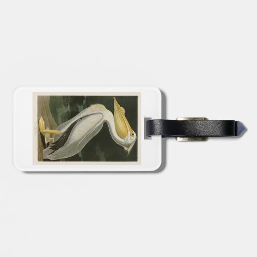 Witte Pelican John James Audubon Birds of America Bagagelabel (Achterkant horizontaal)