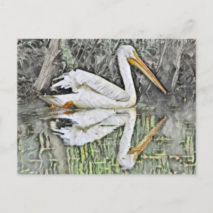 Witte Pelikaan Reflectie in het Olieverfschilderij Briefkaart