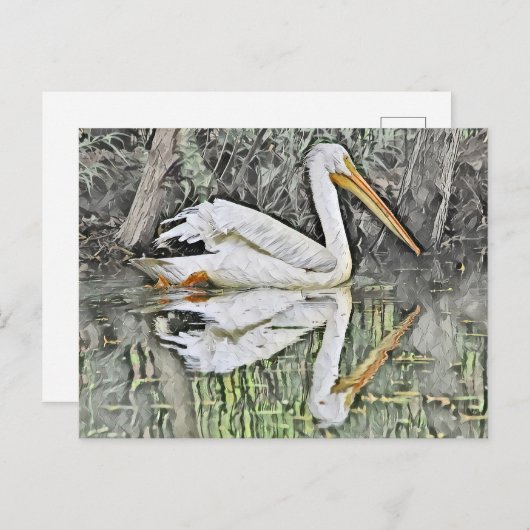 Witte Pelikaan Reflectie in het Olieverfschilderij Briefkaart (Voorkant / Achterkant)