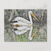 Witte Pelikaan Reflectie in het Olieverfschilderij Briefkaart (Voorkant)