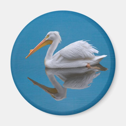 Witte Pelikaan Reflectie Magneet (Voorkant)