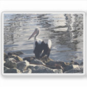 Witte Pelikaan Sticker (Voorkant)
