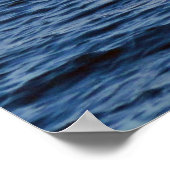 Witte pelikaanse Poster (Hoek)