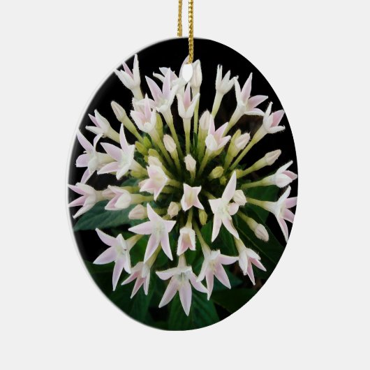 Witte Pentas Keramisch Ornament (Rechts)